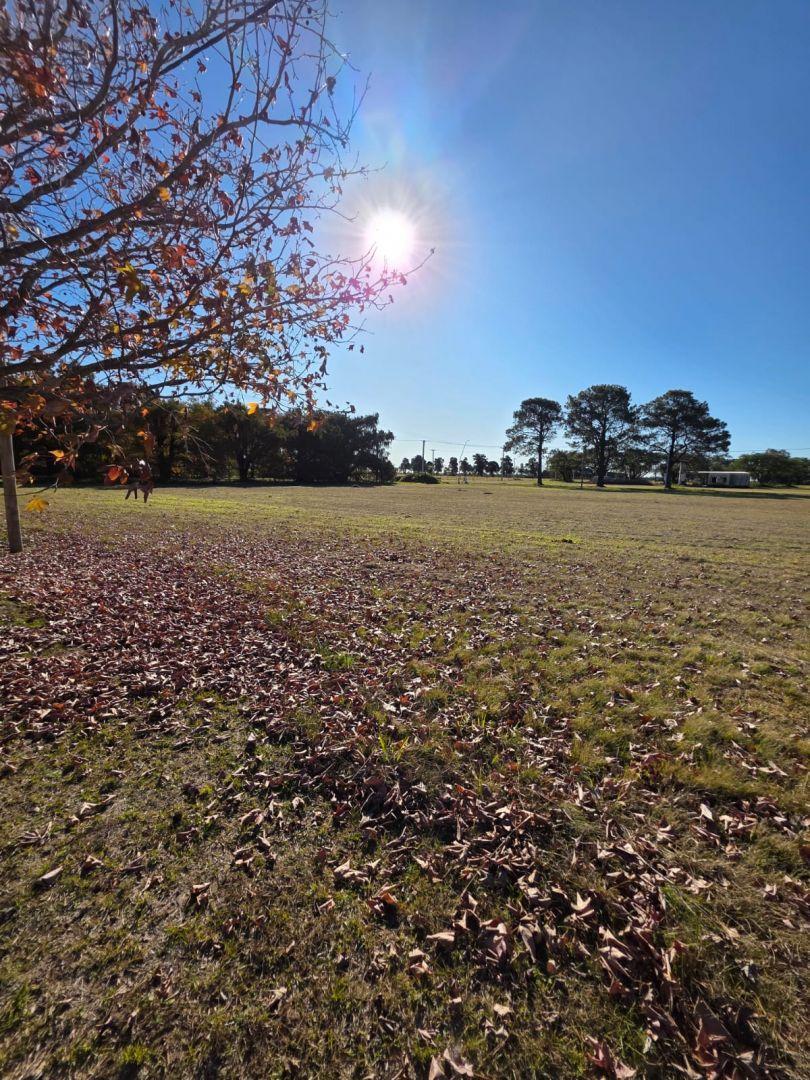 Foto de Lote en Venta Recreo Country Los Molinos Country Los Molinos, imagen 2
