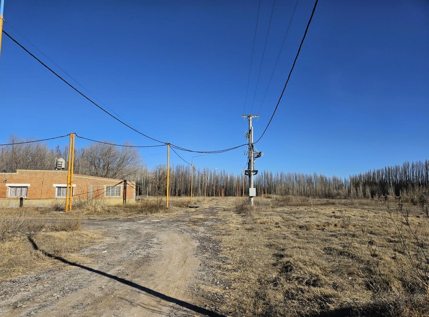 Foto de Venta de terrenos en Centenario, 400 m2 subdivisibles, imagen 2