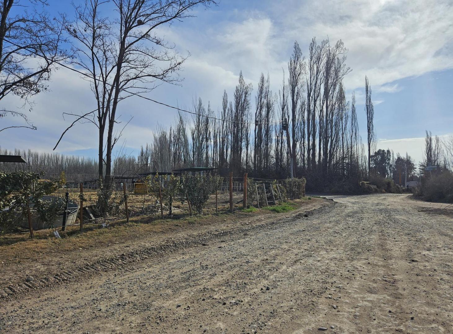 Foto de Venta de terrenos en Centenario, 400 m2 subdivisibles, imagen 1