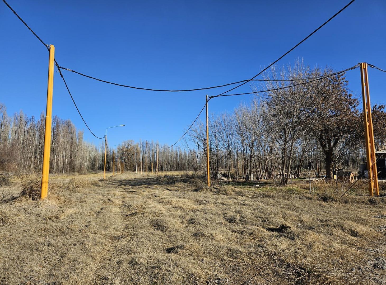 Foto de Venta de terrenos en Centenario, 400 m2 subdivisibles, imagen 5