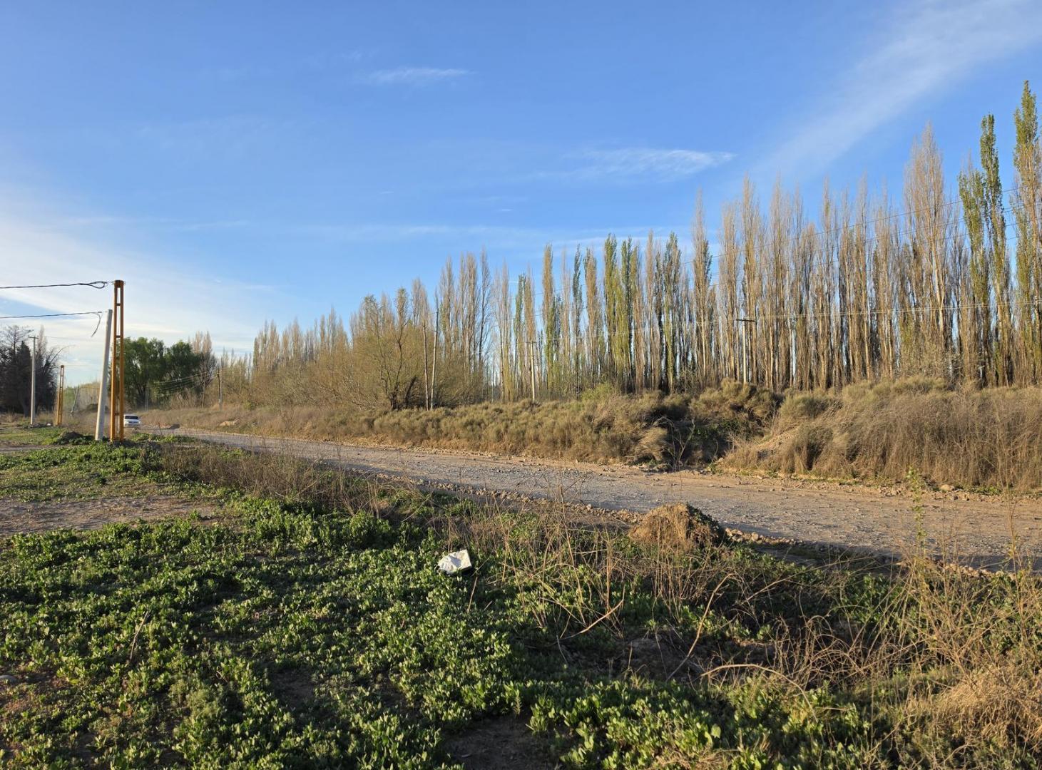 Foto de Venta lotes subdivisibles en Centenario, imagen 4