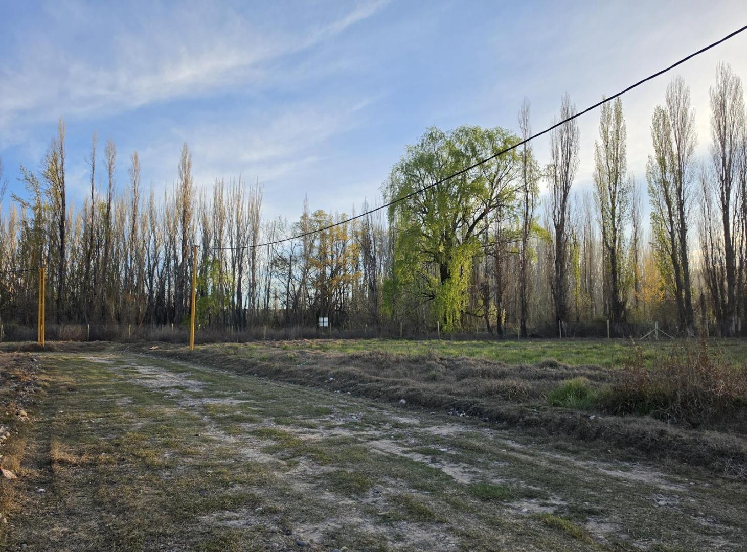 Foto de Venta lotes subdivisibles en Centenario, imagen 5