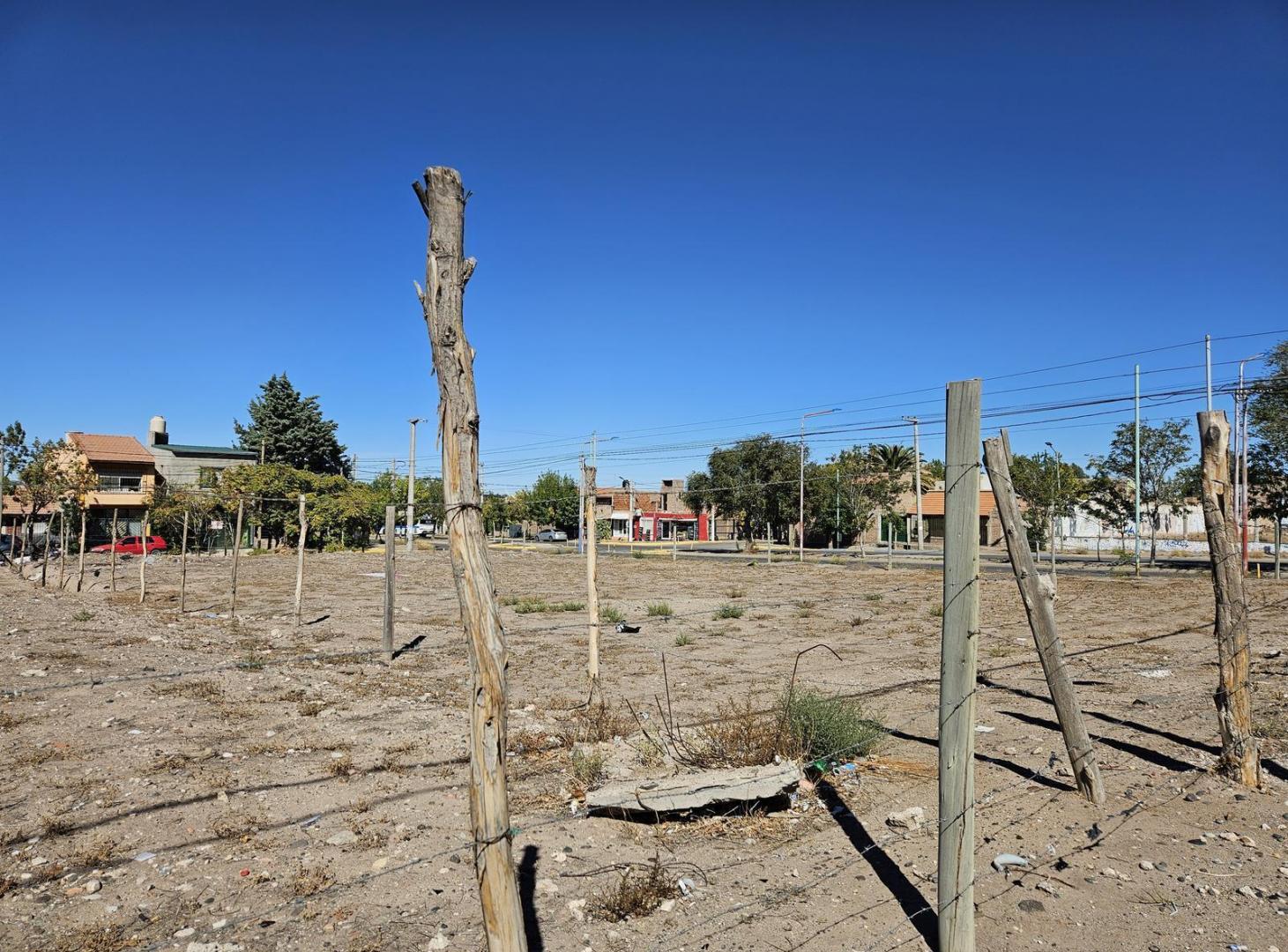 Foto de Terreno de 500 m2 en calle Albardón casi Godoy, imagen 4