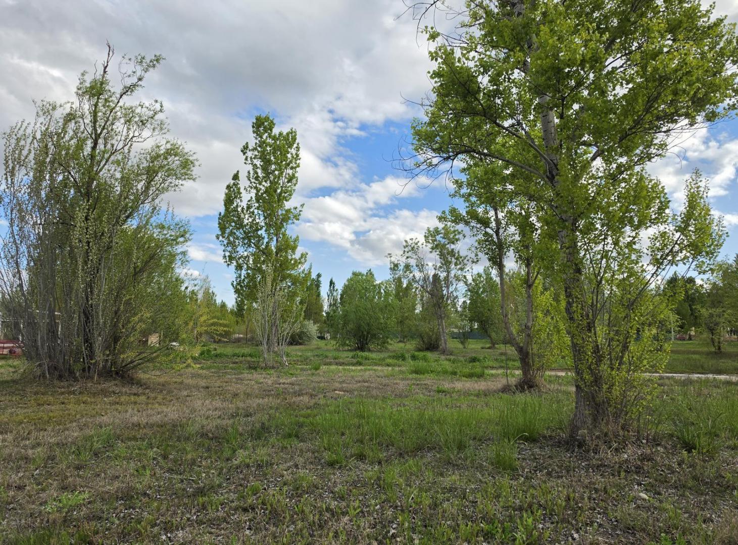 Foto de Venta terreno en Los Patos de Plottier, imagen 5