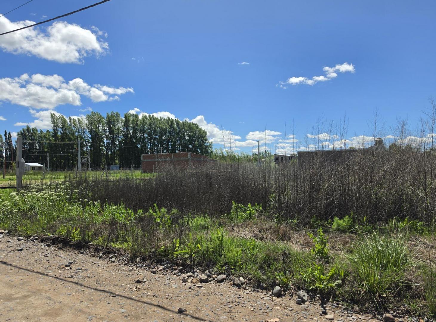 Foto de Venta terreno en Fincas de Vista Alegre 3, imagen 3