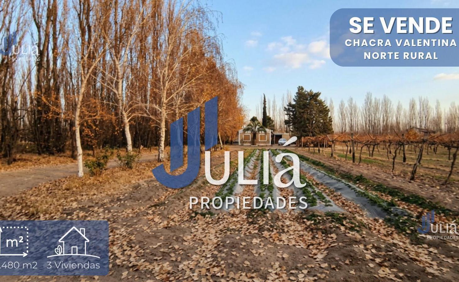 Foto de CHACRA EN PRODUCCIÓN - APTA BASE -VALENTINA NORTE RURAL - NEUQUEN, imagen 3