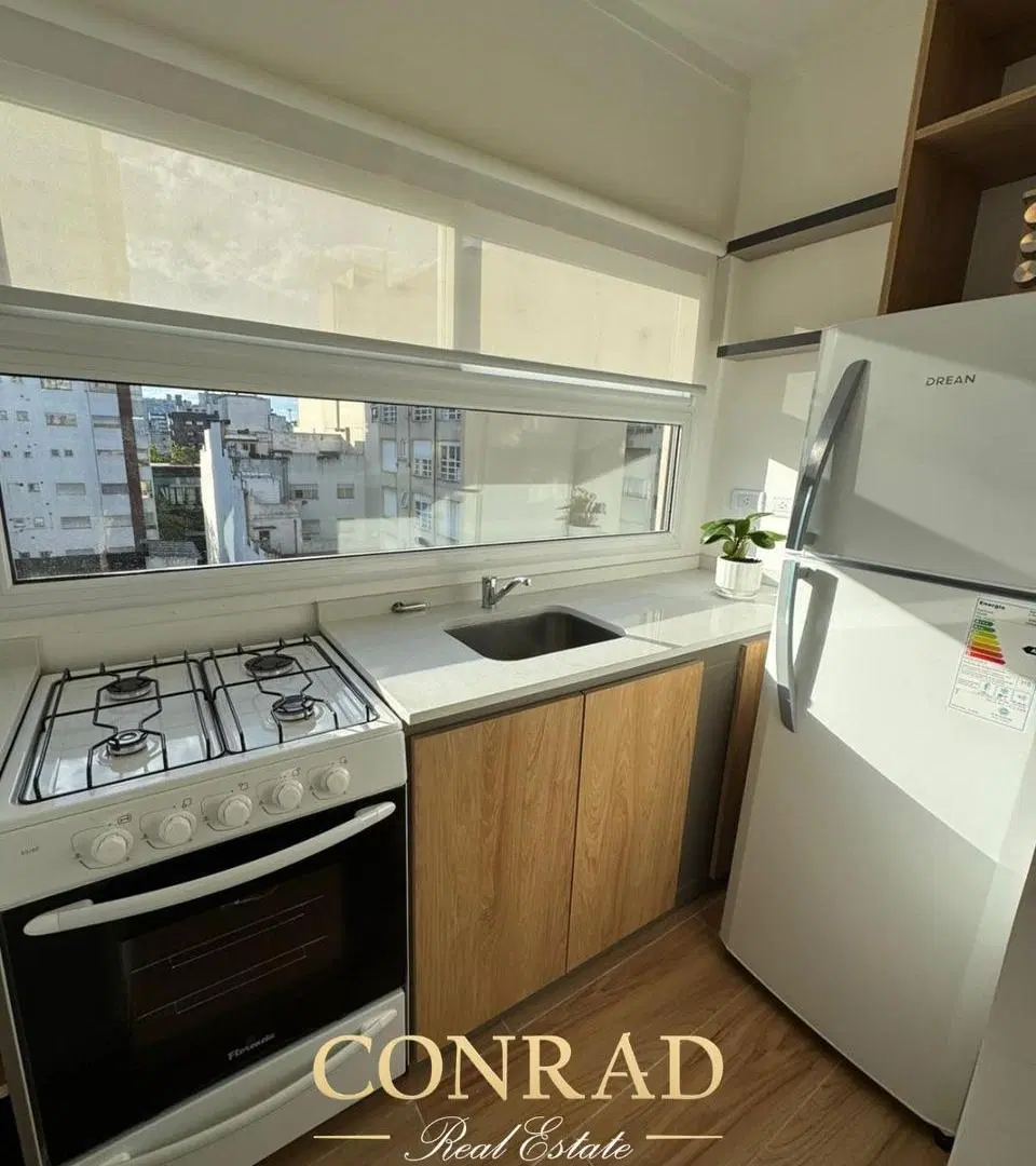 Departamento en Plaza Mitre 1