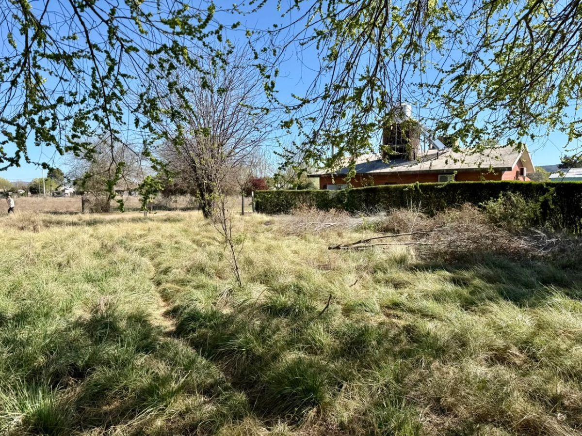 Foto de LOTE EN VENTA – BARRIO LAS FLORES, MINA CLAVERO, imagen 5