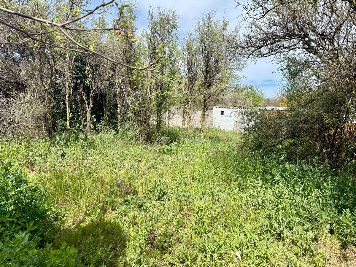 Foto de LOTE EN VENTA – BARRIO SAN SEBASTIÁN | MINA CLAVERO, imagen 1