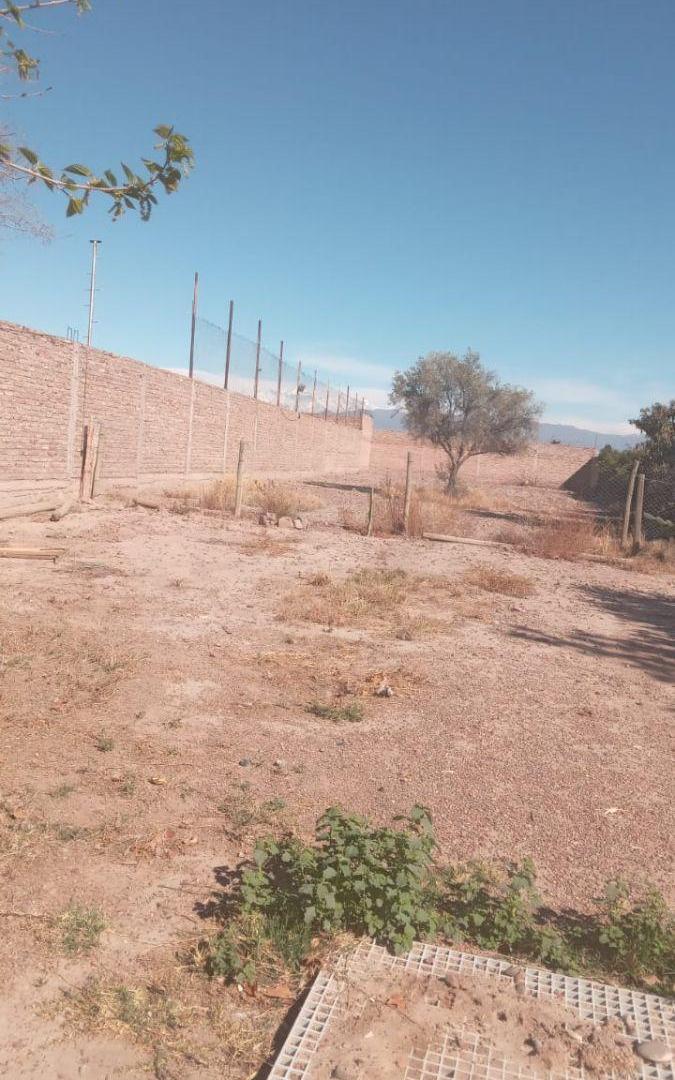 Terreno de 1300 m2 en alquiler en Coquimbito