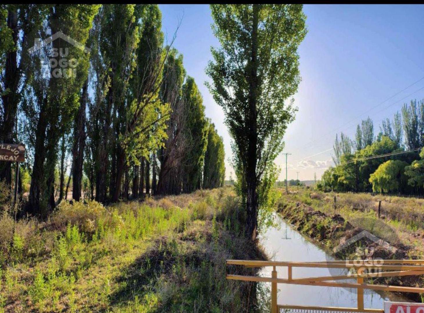 Foto de Terreno - Plottier, imagen 3