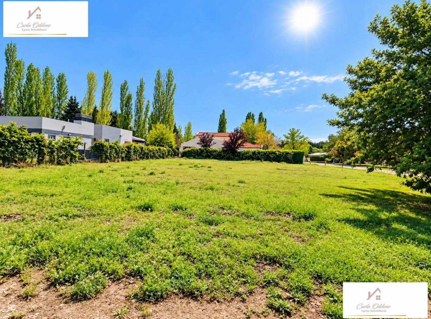 Foto de VENTA LOTE Bº LOS CEDROS COUNTRY CLUB, PLOTTIER, imagen 1