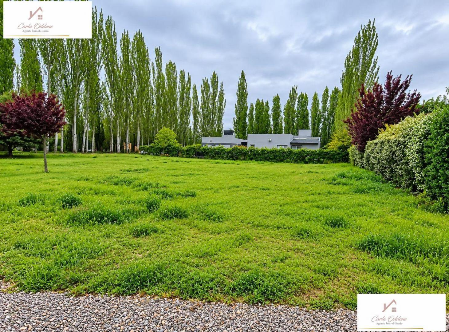 Foto de VENTA LOTE Bº LOS CEDROS COUNTRY CLUB, PLOTTIER, imagen 4