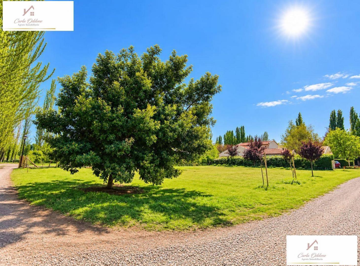 Foto de VENTA LOTE Bº LOS CEDROS COUNTRY CLUB, PLOTTIER, imagen 5