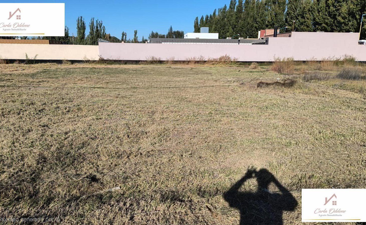 Foto de TERRENO EN VENTA| CENTENARIO| LA CONSUELO, imagen 2
