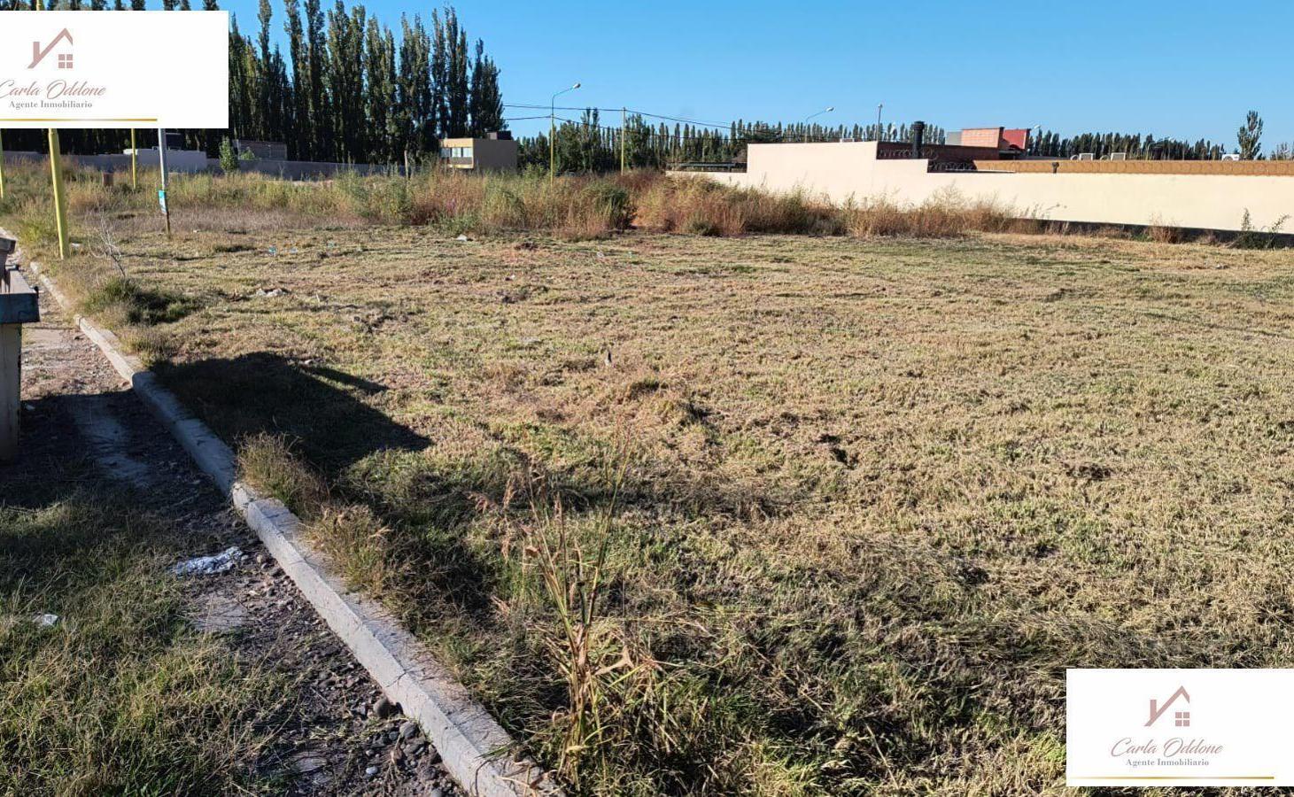Foto de TERRENO EN VENTA| CENTENARIO| LA CONSUELO, imagen 3