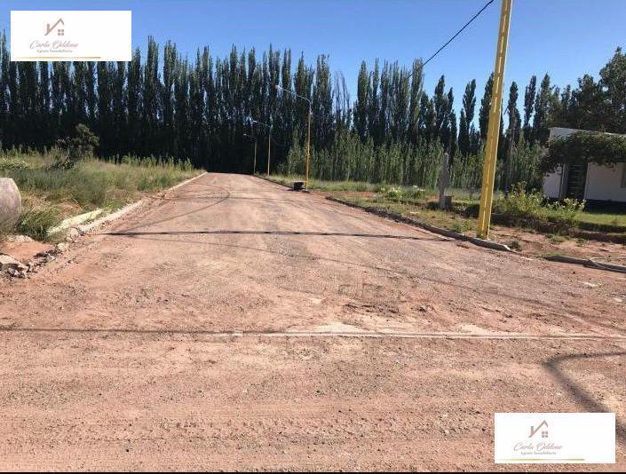 Foto de TERRENO EN VENTA| CENTENARIO| LA CONSUELO, imagen 4