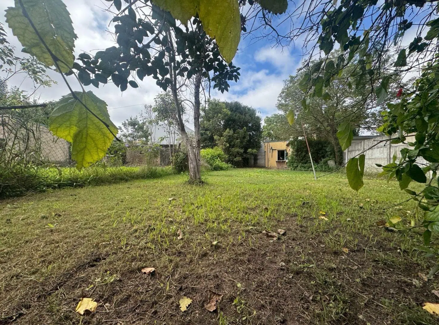 Casa/dos dormitorios/Mosconi/todos los servicios/Amplio patio/céntrica/inversión 3