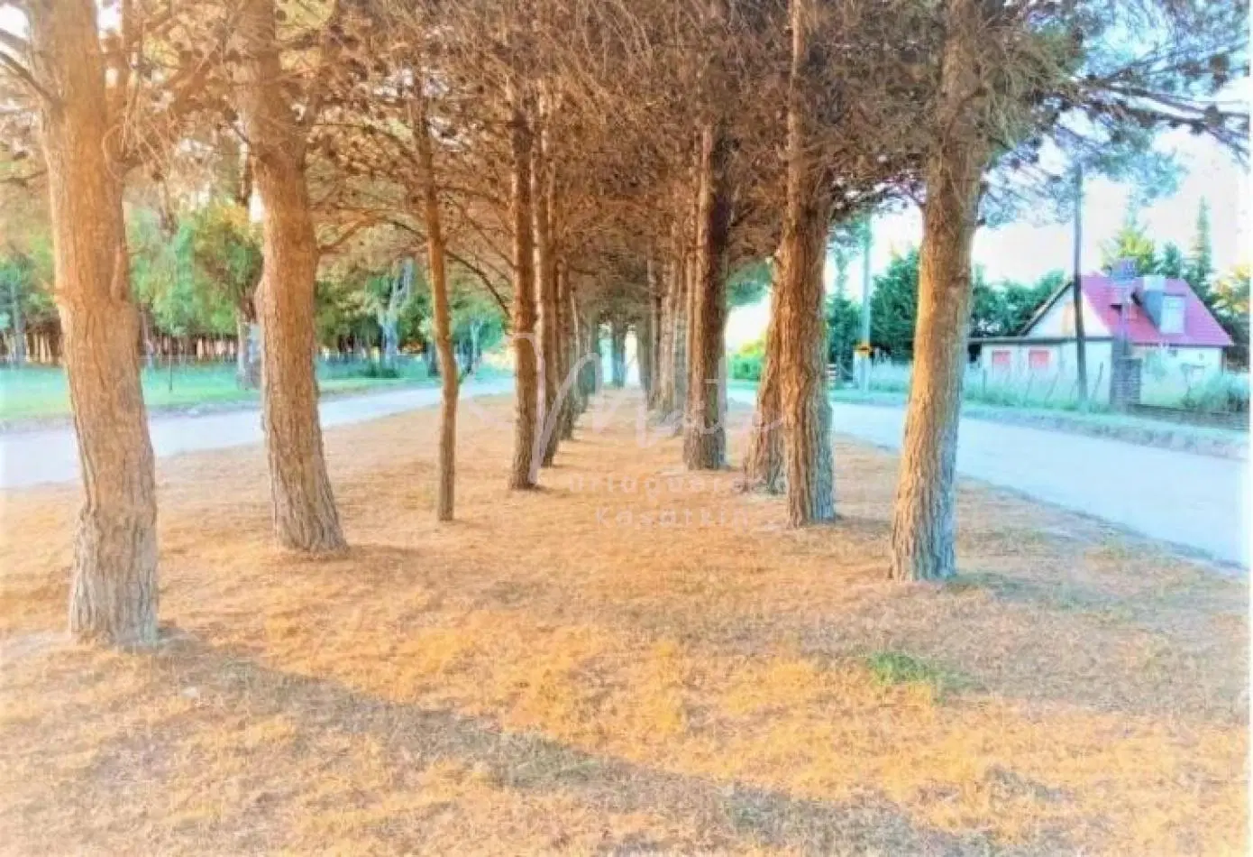 LOTE BALNEARIO RETA TRES ARROYOS 1122 M2 5