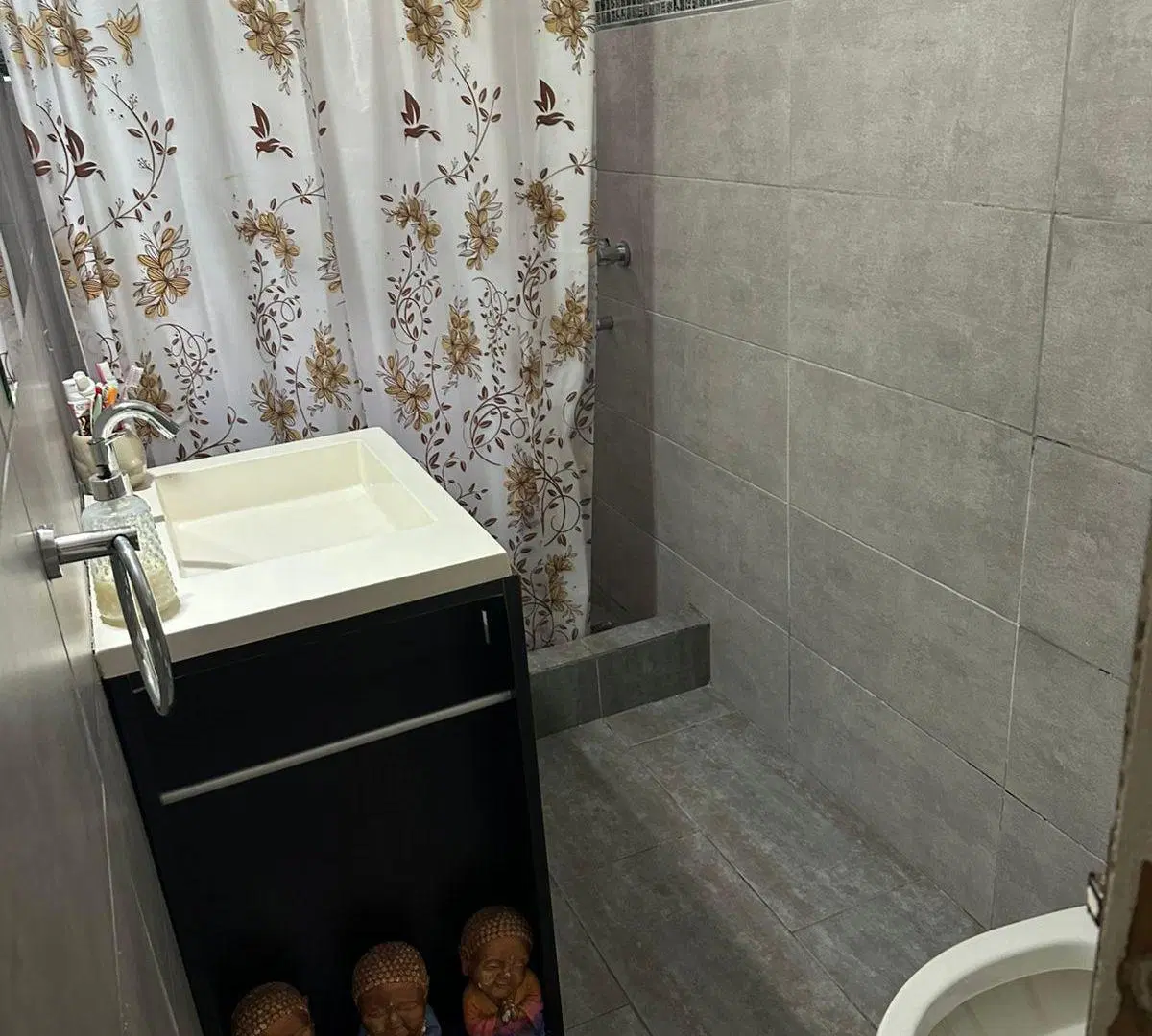 DOS CASAS AL PRECIO DE UNA EN VILLA CARLOS PAZ 4