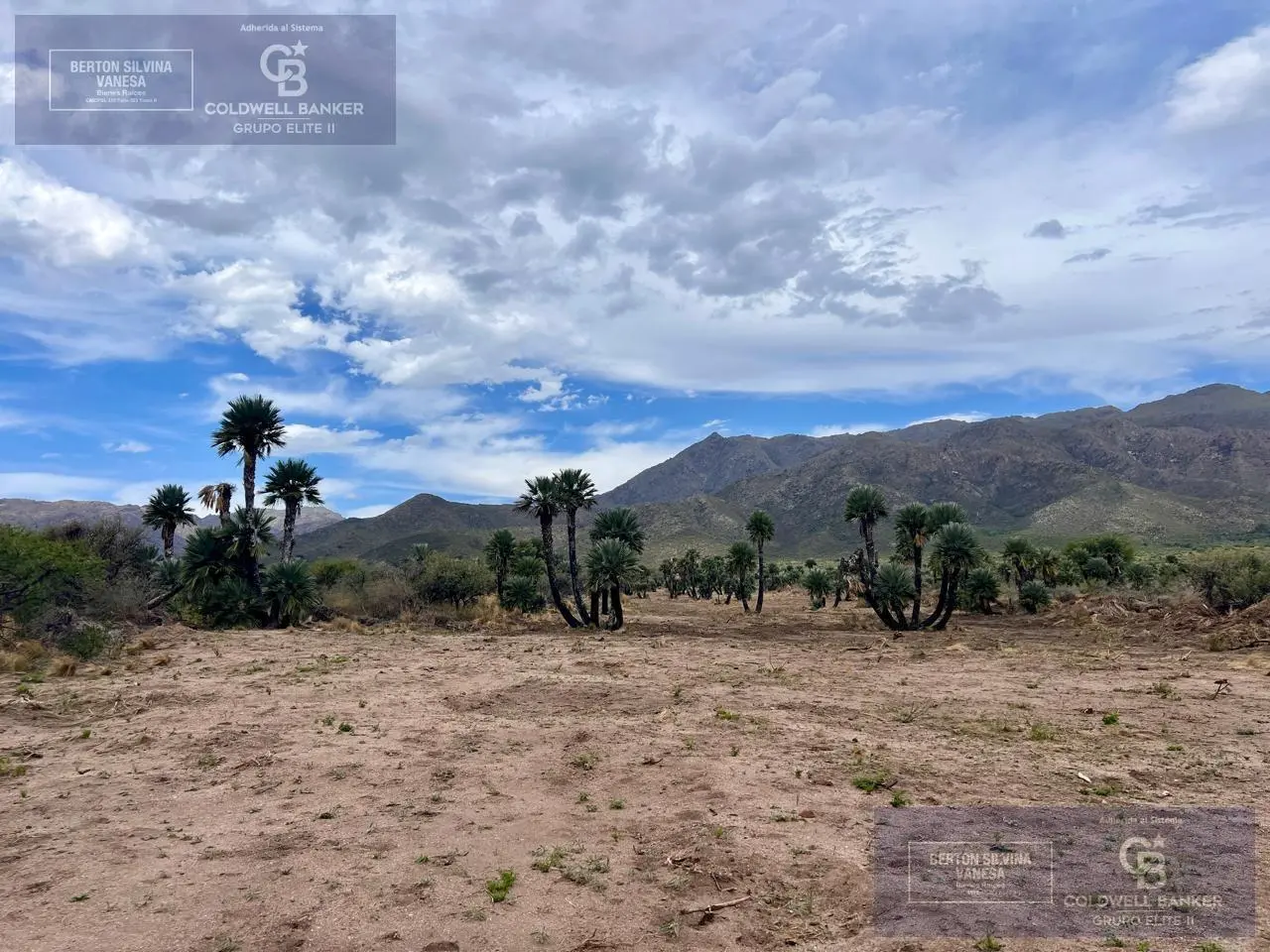 VENTA TERRENO COMERCIAL PARA LOTEO ESTANCIAS SERRANAS PAPAGAYOS SAN LUIS 5