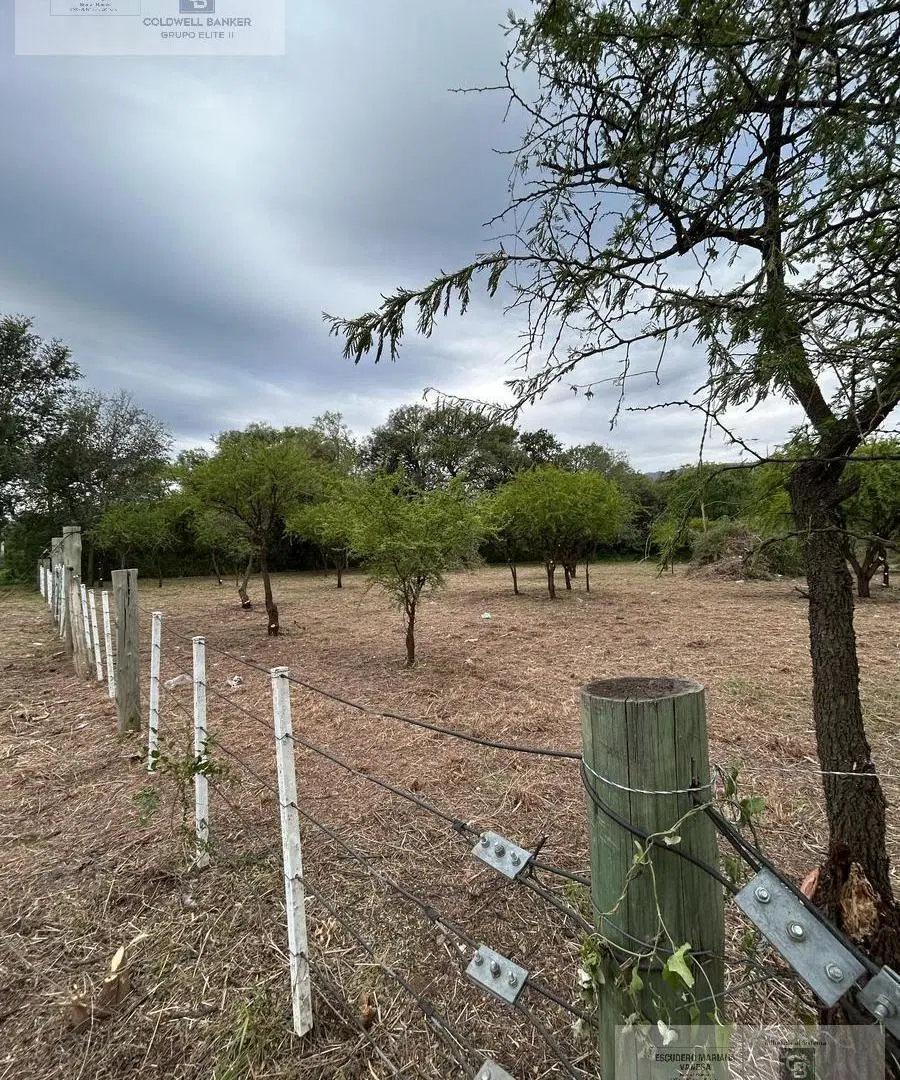 VENTA TERRENO MERLO LOS MOLLES SAN LUIS 5