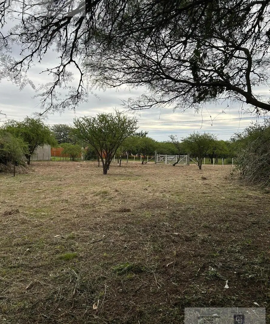 VENTA TERRENO MERLO LOS MOLLES SAN LUIS 2