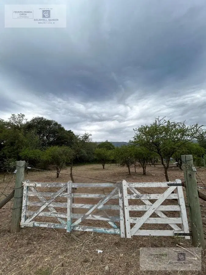 VENTA TERRENO MERLO LOS MOLLES SAN LUIS 3