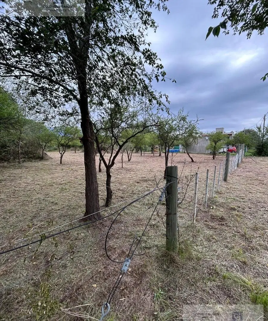 VENTA TERRENO MERLO LOS MOLLES SAN LUIS 4