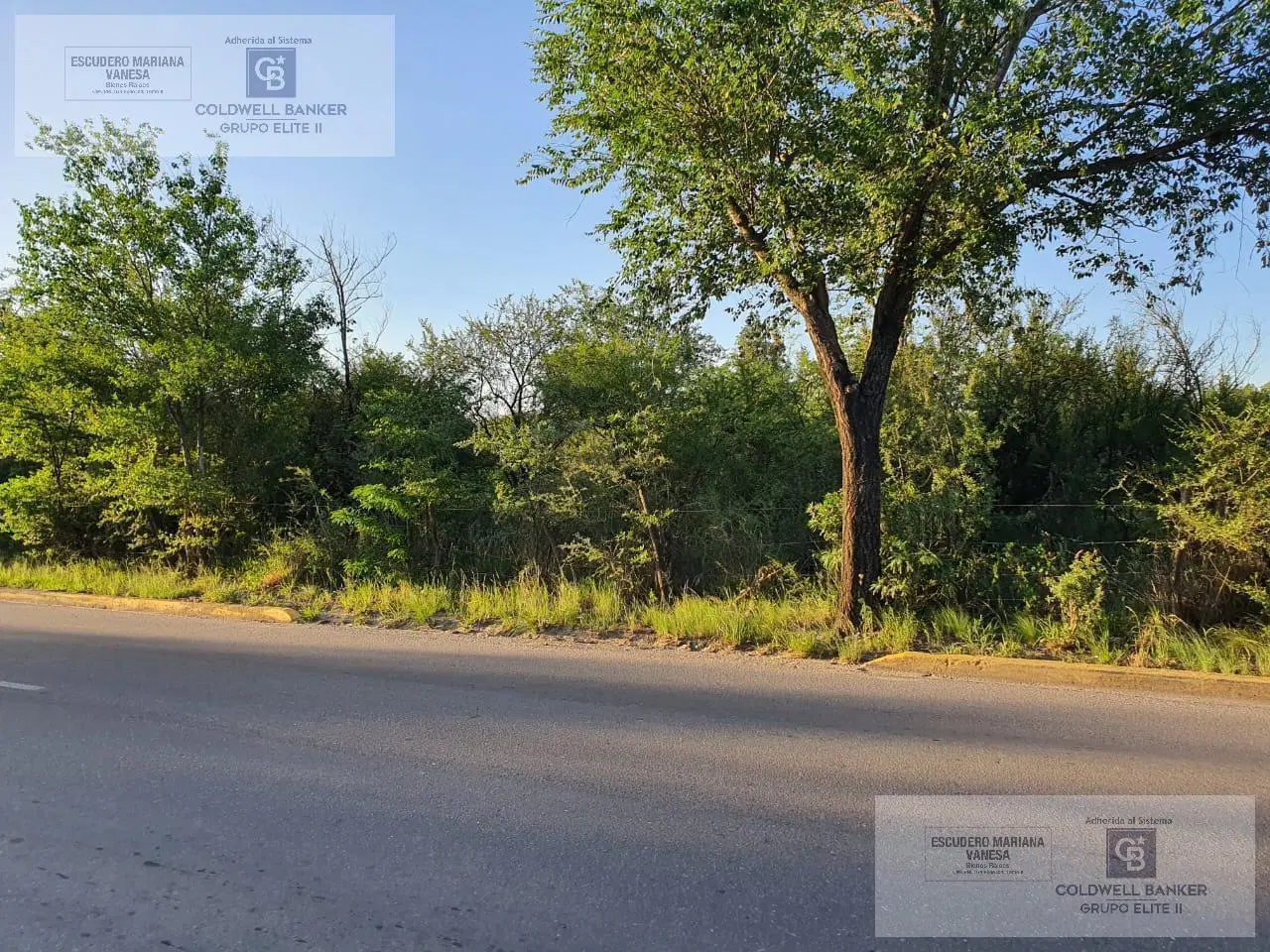 Venta Terreno Comercial 10.210 m2 Merlo San Luis 5
