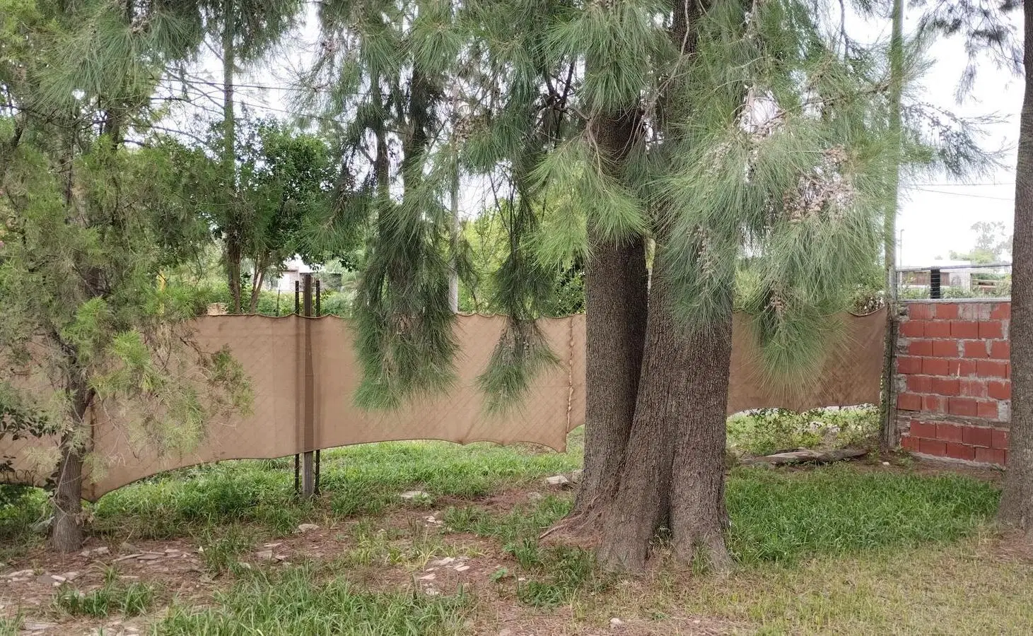 Terreno en Funes 3