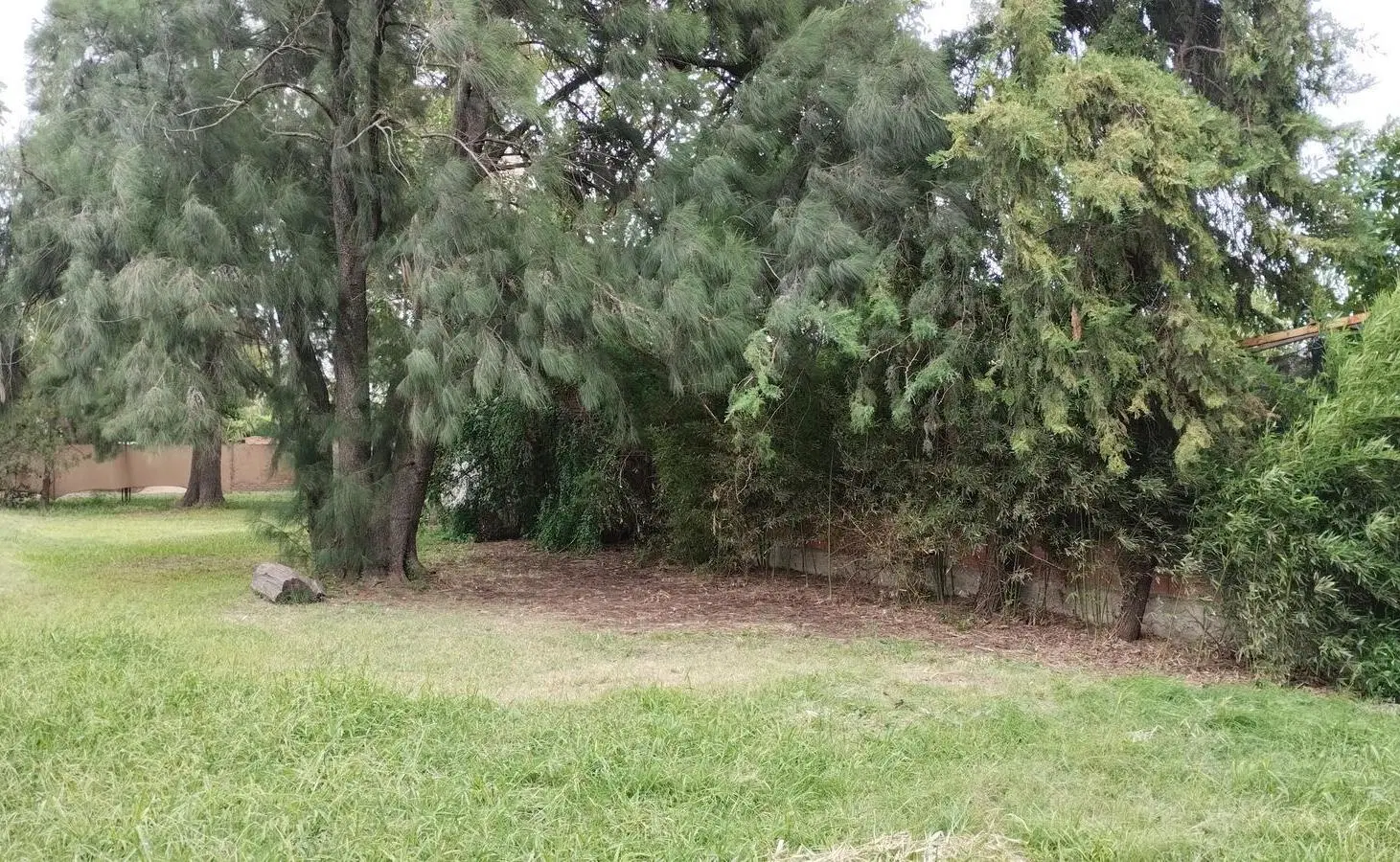 Terreno en Funes 2