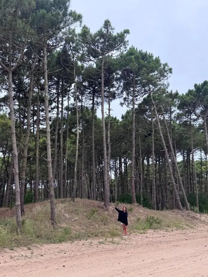Terreno en venta - Bosques - Pinamar - 2