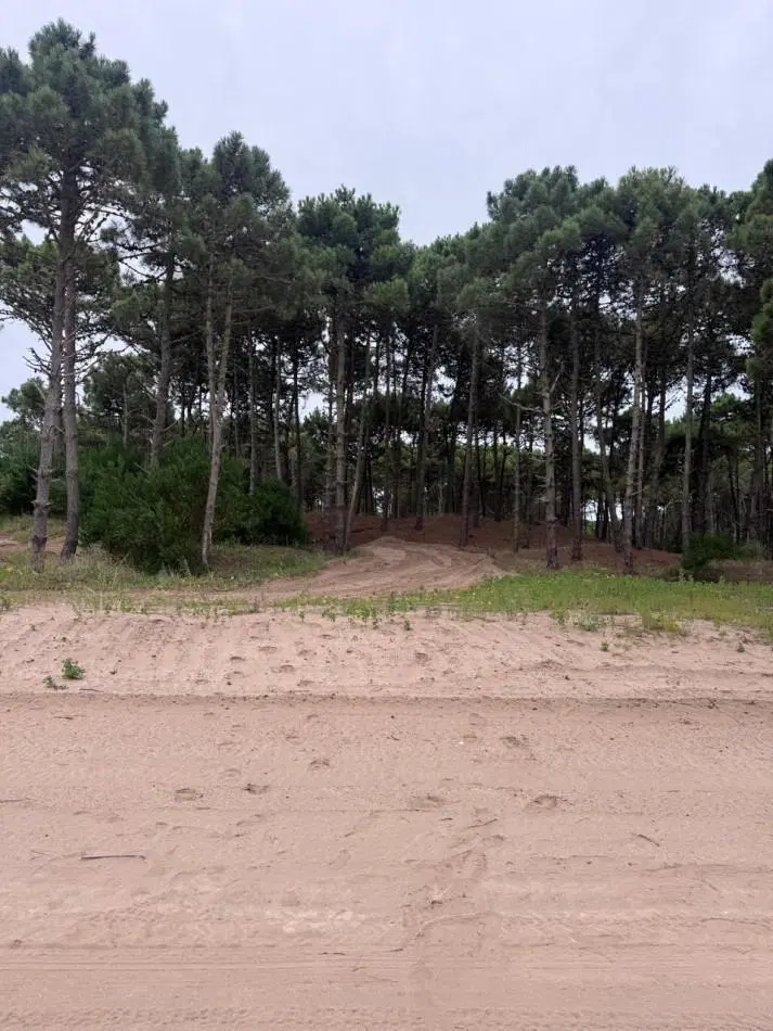 Terreno en venta - Bosques - Pinamar - 3