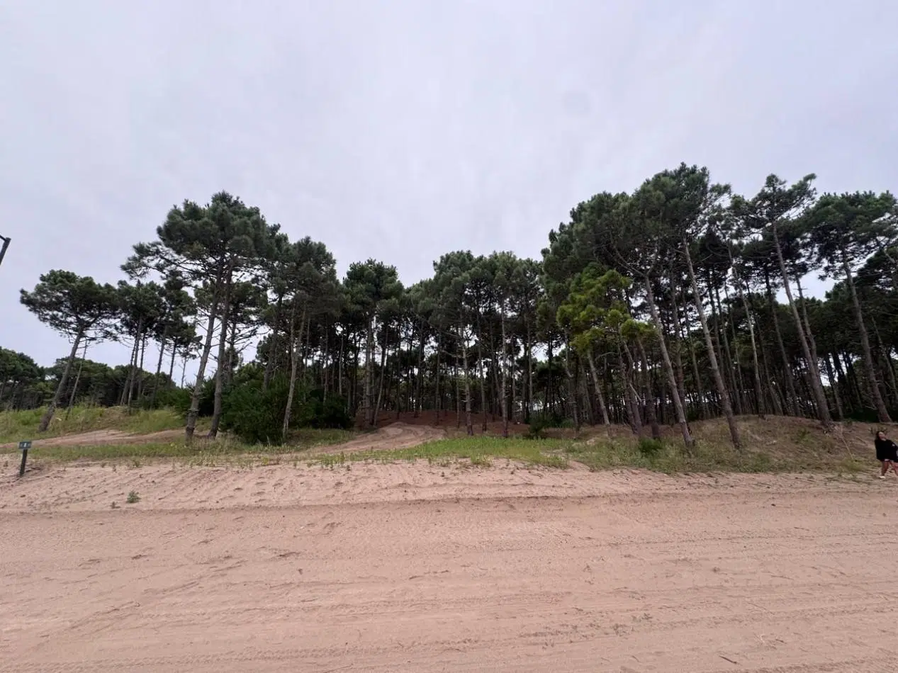 Terreno en venta - Bosques - Pinamar - 5