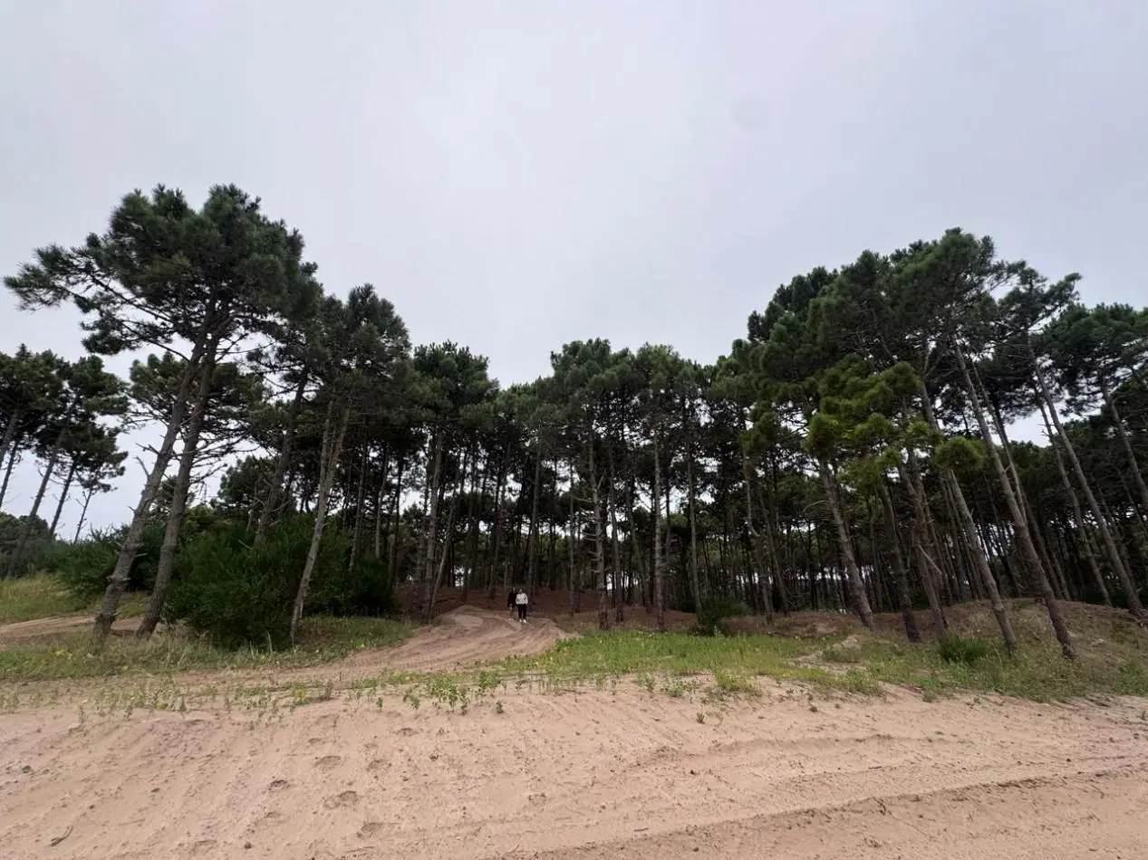 Terreno en venta - Bosques - Pinamar - 4