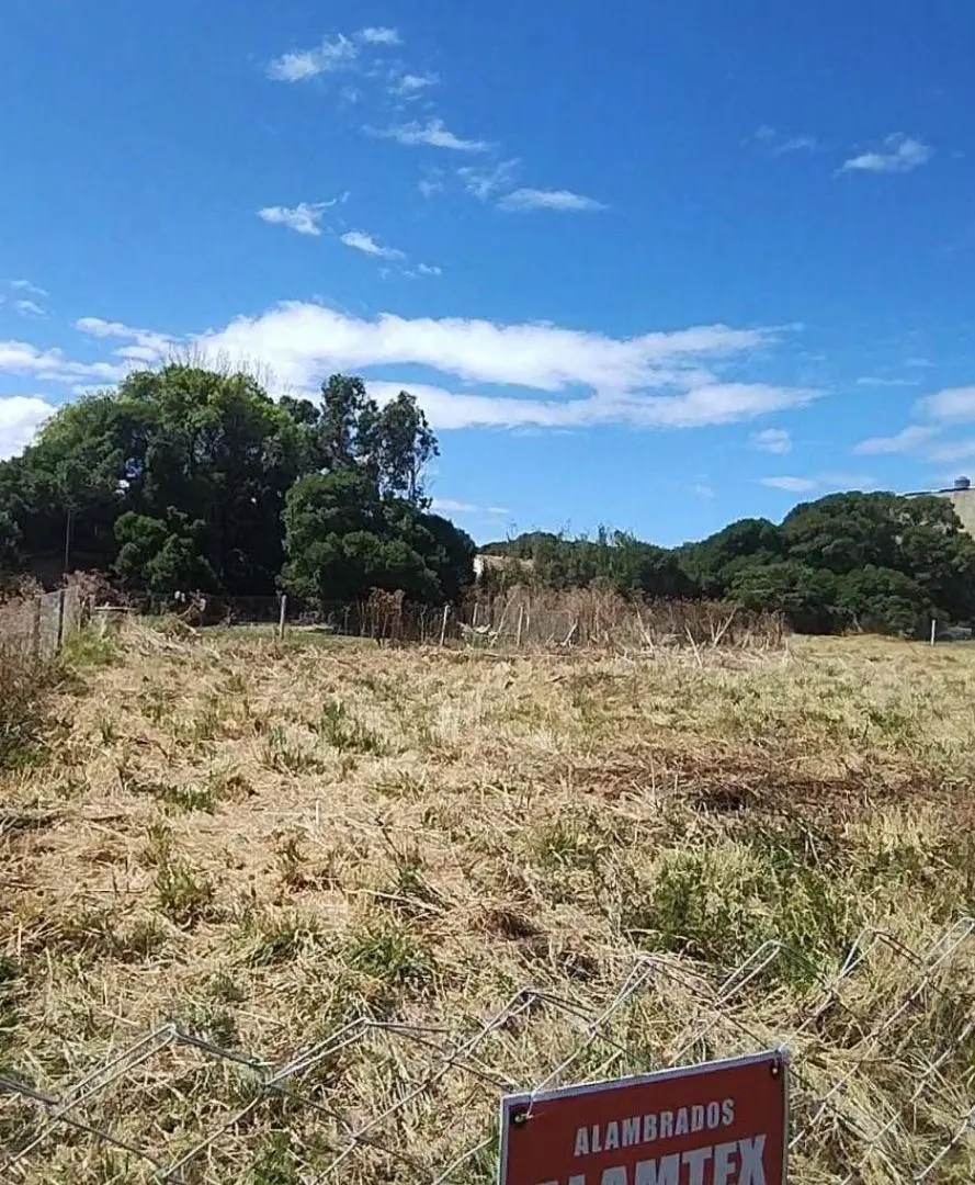 Terreno 281m - Barranca de los Lobos 3