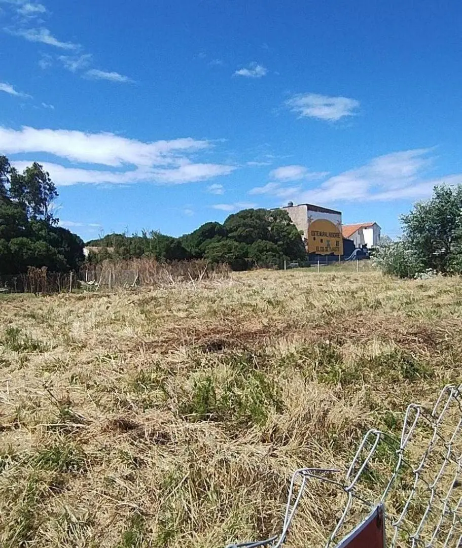Terreno 281m - Barranca de los Lobos 4