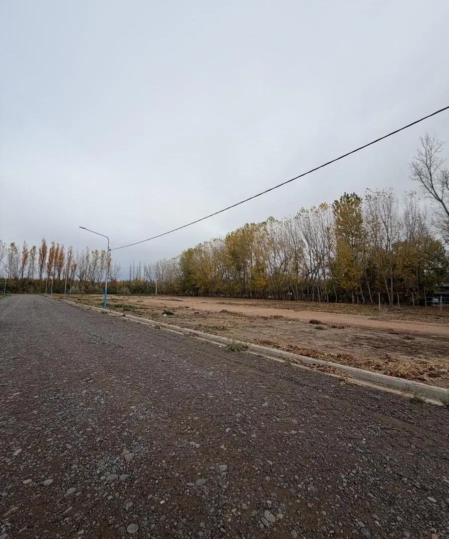 Venta de Lote en Loteo Nuevo Rocio de Centenario 5