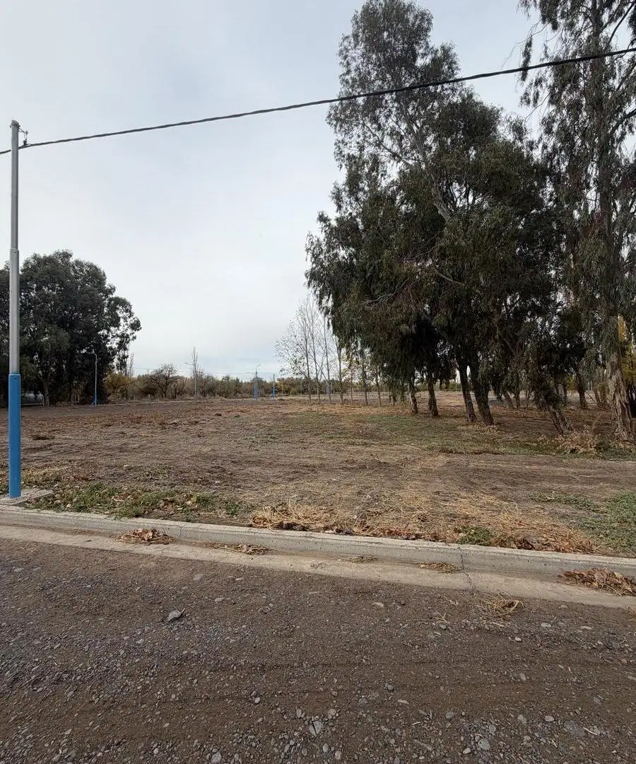 Venta de Lote en Loteo Nuevo Rocio de Centenario 2