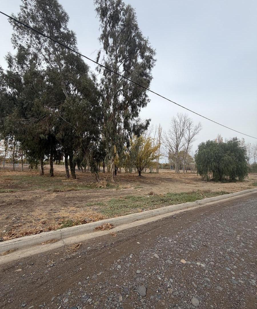 Venta de Lote en Loteo Nuevo Rocio de Centenario