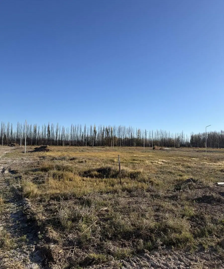 Venta de Cuatro Lotes en Vista Alegre de Neuquén 4