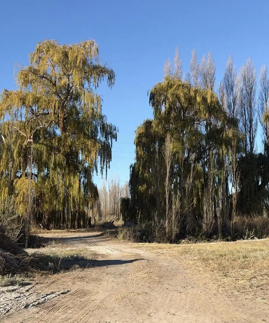Venta de Cuatro Lotes en Vista Alegre de Neuquén 6