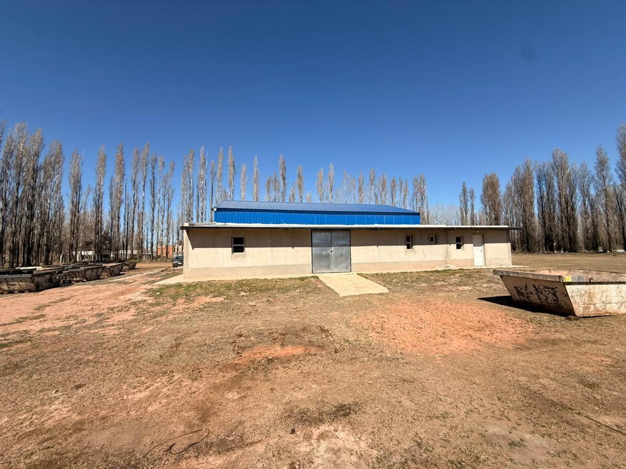 Foto de Alquiler de Galpón en Zona Residencial de Plottier, imagen 5
