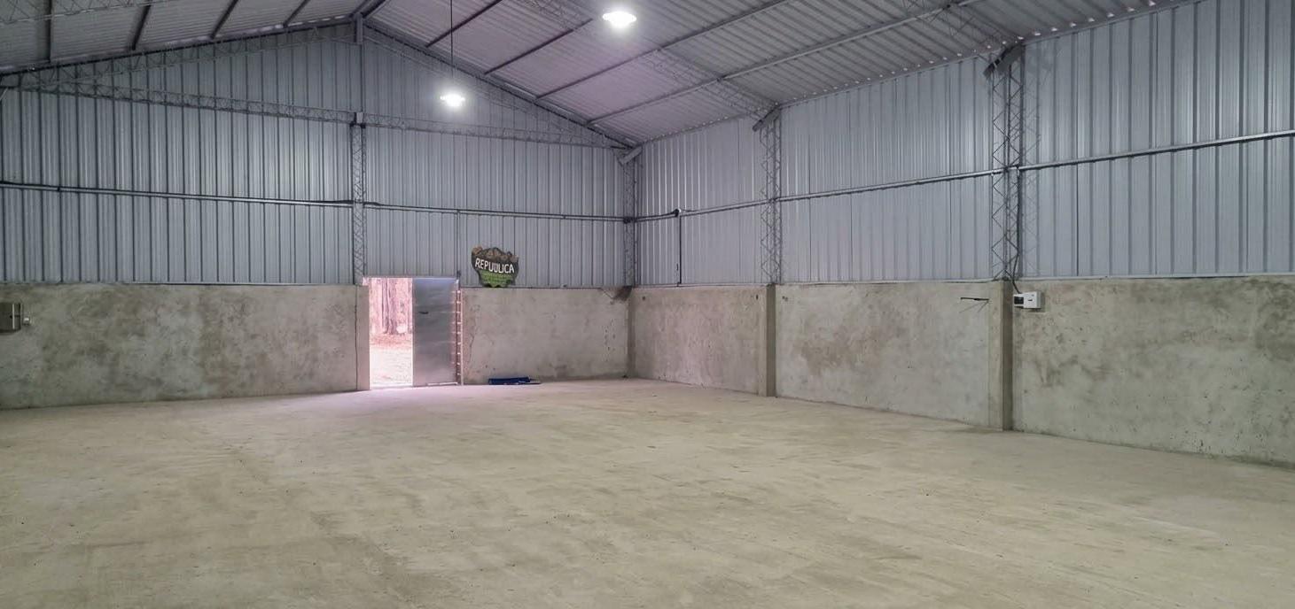 Foto de Alquiler de Galpón en Zona Residencial de Plottier, imagen 4