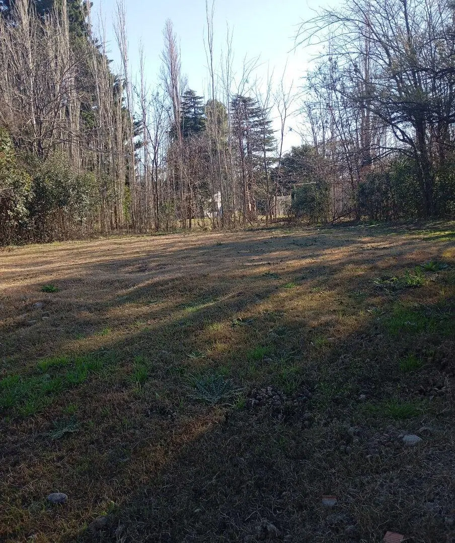 Terreno De 981 M2 Con Estructura A Terminar Y Escritura- San Francisco Del Monte De Oro- San Luis 4
