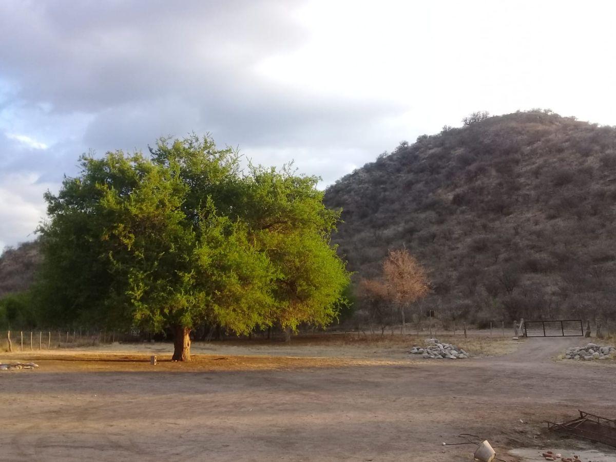 Foto de Casa en Venta – Gran Parque, Acequia de Riego y Vistas a las Sierras, imagen 2