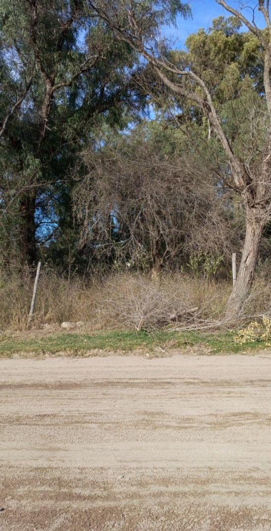 Foto de Terreno Céntrico En Venta - San Francisco Del Monte De Oro, San Luis, imagen 1