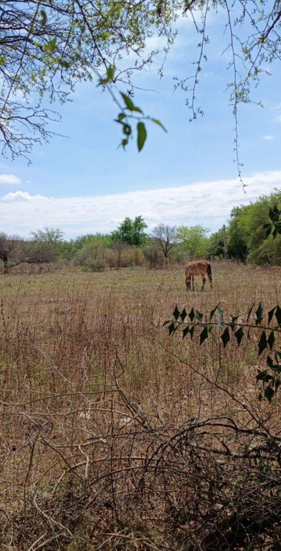 Foto de Lote De 798 M2 Listo Para Construir Excelente Ubicación Y Entorno, imagen 5