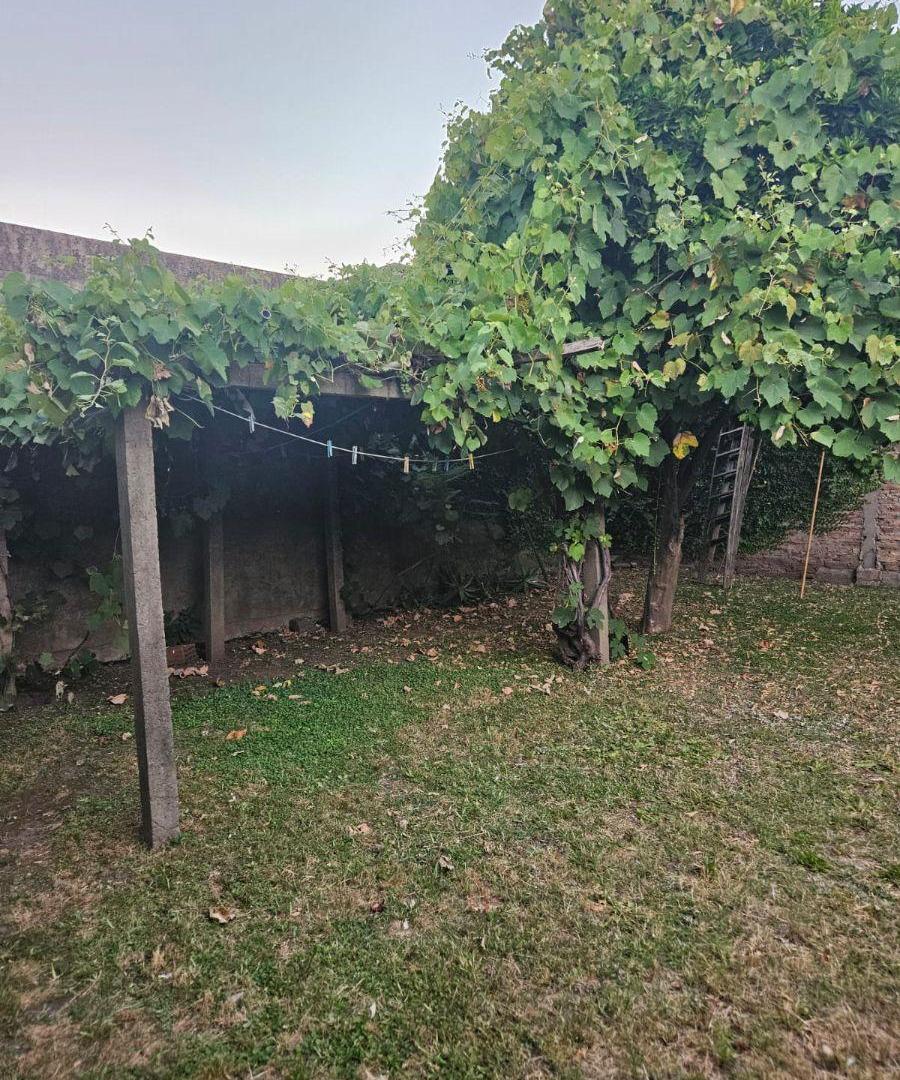Foto de VENDO CASA DE 2 AMBIENTES PLENO CENTRO DE TRISTAN SUAREZ, imagen 4